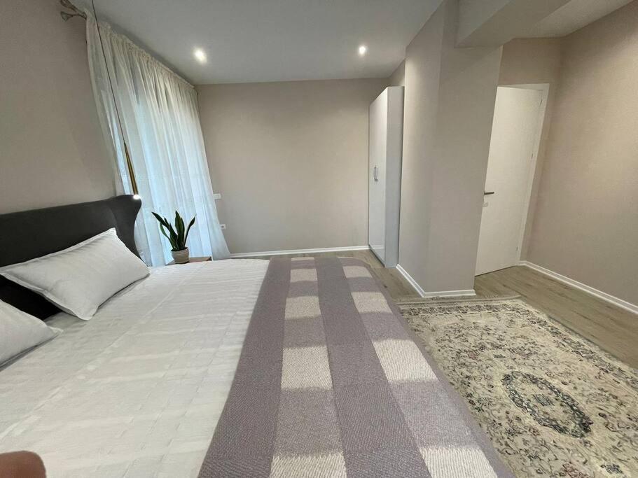Melody Apartment In 科尔察 外观 照片